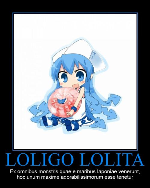 Loligo LolitaEx omnibus monstris quae e maribus Iaponiae venerunt, hoc unum maxime adorabilissimorum