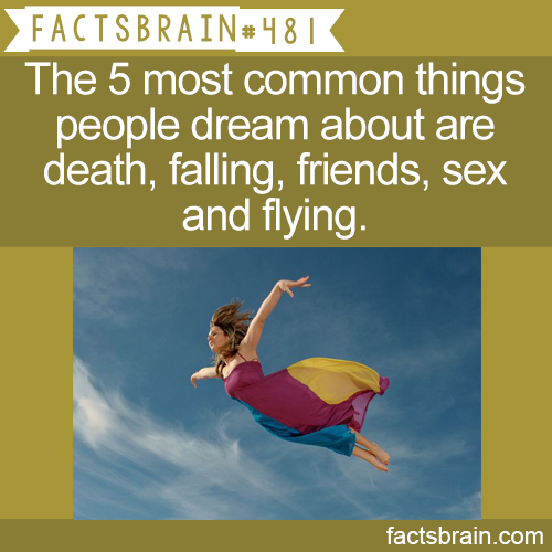 factsbrain:  The 5 most common things people dream about are death, falling, friends,