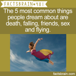 Factsbrain:  The 5 Most Common Things People Dream About Are Death, Falling, Friends,