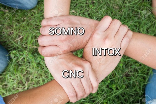 They're All Besties In My Head Okay