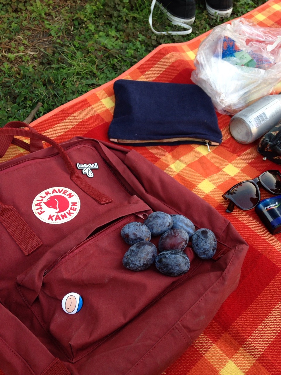 toastyfeelings:  picknick in the park with my boo 🐝 