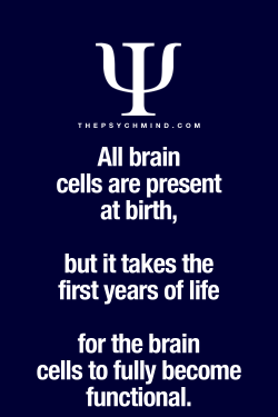 thepsychmind:  Fun Psychology facts here!