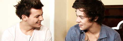 btwmalik:  Louis and Harry being idiots together. 