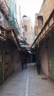 palestinianliberator: A Palestinian street in the Old City of Hebron/Al-Khaleel. Walking through here was surreal, as this once thriving district full of people, noise, and numerous shops of all sorts is now practically a ghost town. This lower walkway