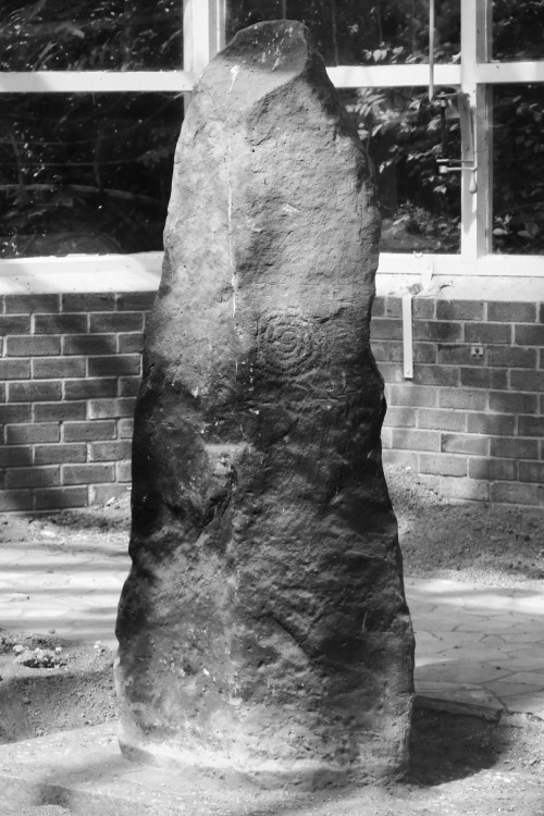 The Calderstones, Calderstones Park, Liverpool, 30.5.16. The stones would have originally formed a d