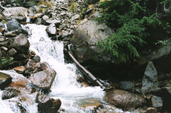 eartheld:  northwezt:  Mount Rainier National Park, WA Flickr / Instagram  mostly nature