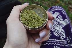 thc-kittyy:  🍁💅