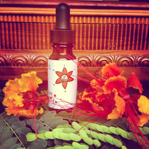 Sacral Chakra Elixir Governs: Sexuality – Sensuality – Fertility – Creative Life Force Energy Elemen