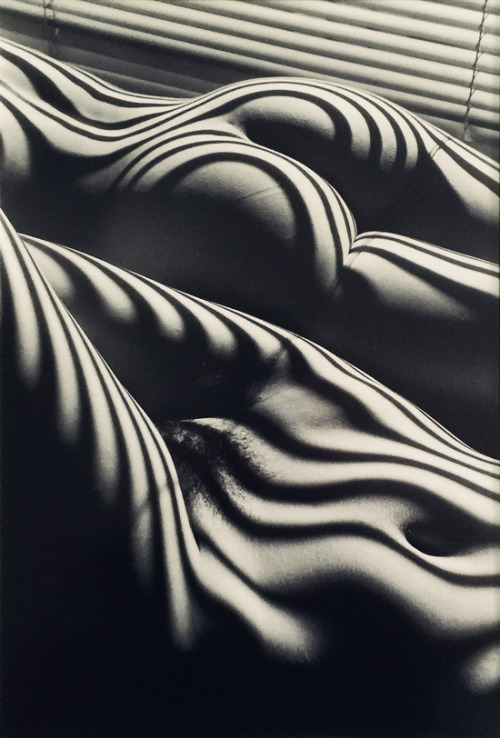 romantisme-pornographique: Lucien Clergue, Two zebra nudes