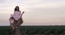 roseoilz:solange - cranes in the sky