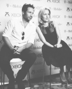 lanaprrilla:  David Duchovny and Gillian Anderson @ SDCC 2013  Anderson: “A lot