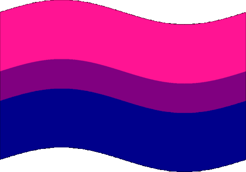 Wishing A Very Happy Pride Month To All My Bisexual Mutuals And Followers! You Are Completely Valid If