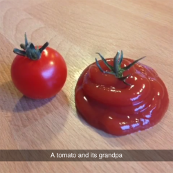 a-wolf-by-any-other-name:  a-wolf-by-any-other-name:  tastefullyoffensive:  (photo via tomato)  How do you even melt a tomato?  I just realized that it is in fact a pile of ketchup. 