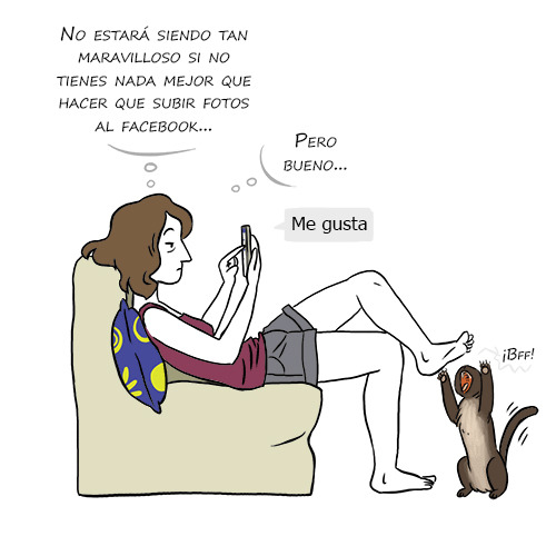 Follamos con Gordas