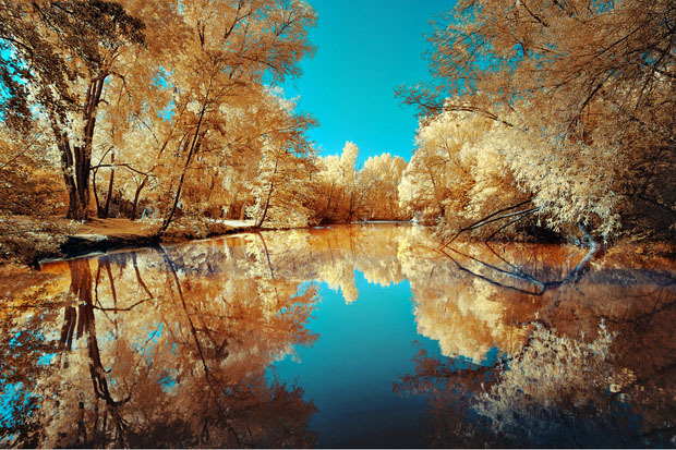 opticallyaroused:   Gorgeous Infrared Landscapes With Trees of Gold and Silver 