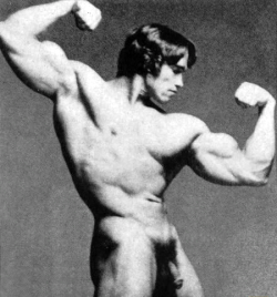 musclegods2:  Arnold Schwarzenegger’s cock.