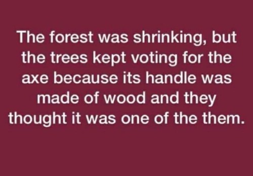 saywhat-politics:The forest was shrinking, but the trees kept voting for the axe because its handle 