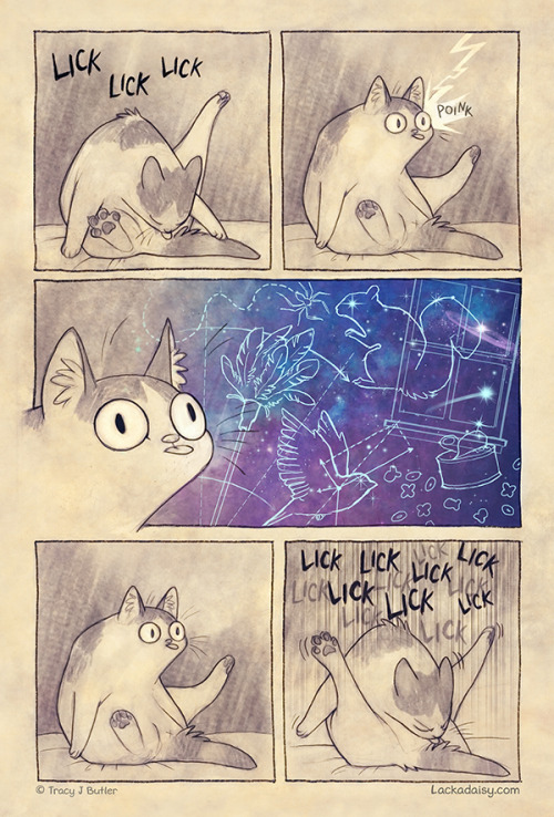 lackadaisycats:Does this happen to your cat too?(Part of a larger comic about inspiration, up for Pa