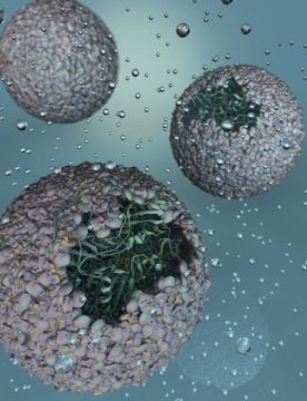 &lsquo;Nano-reactor&rsquo; created for the production of hydrogen biofuelCombining bacterial