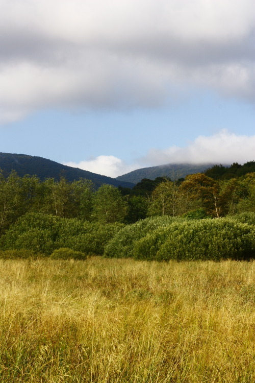 Bieszczadzki Park Narodowy(Bieszczady National Park)