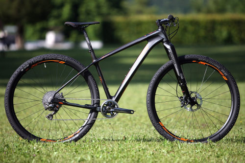 probike: KTM 2015, photo by Petr Bureš on mtbs.cz