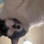 xboybtw