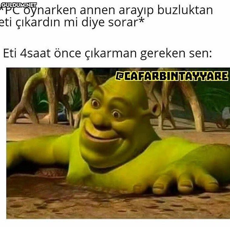 yaşamayan yoktur *PC...