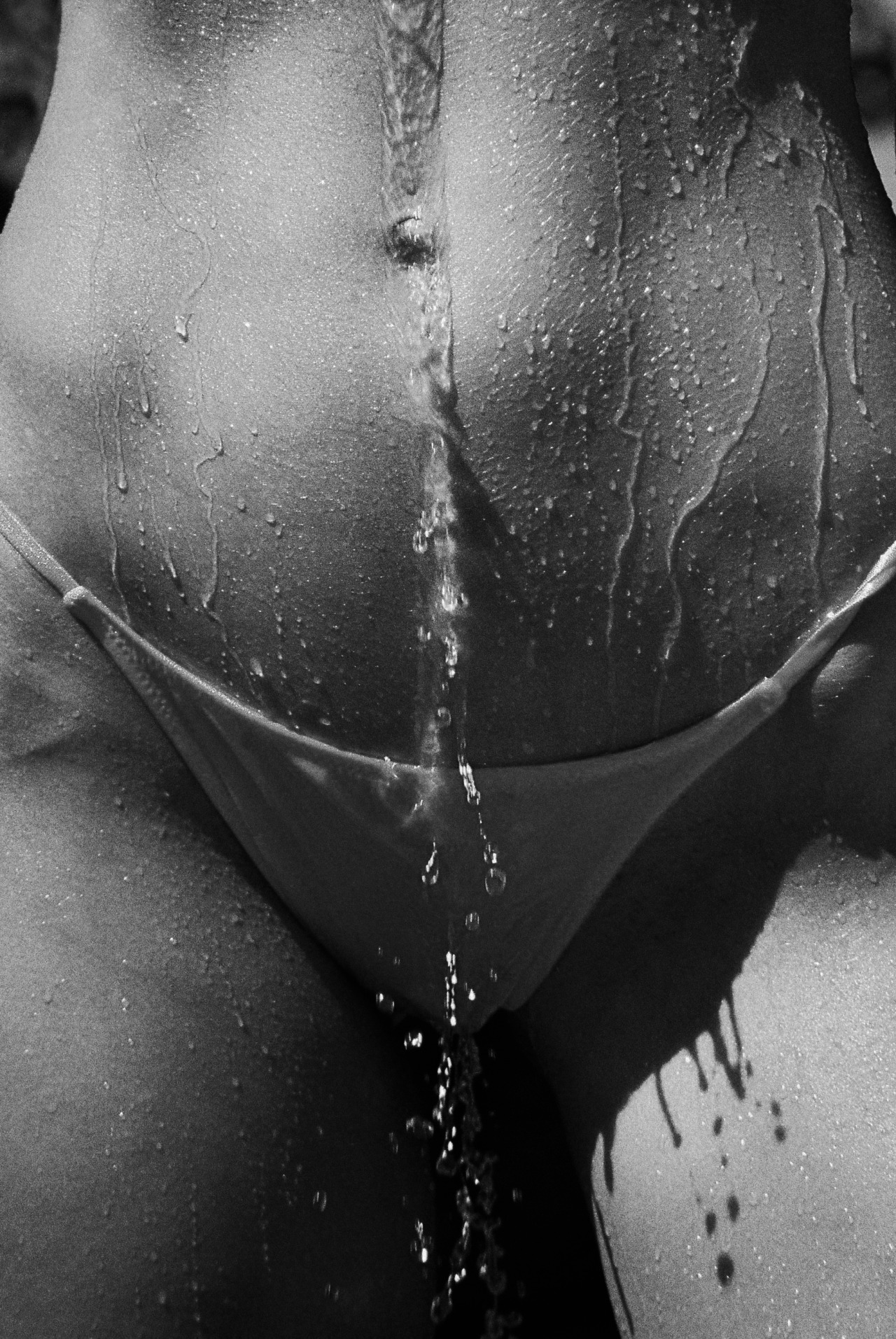 Quello che cerchi
