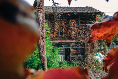 Abandoned “Konoji” hospital- Bコの字医院,日本