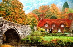 Pagewoman:  Cottage, Llanrwst, Gwynedd, North-Wales By Magda Indigo 