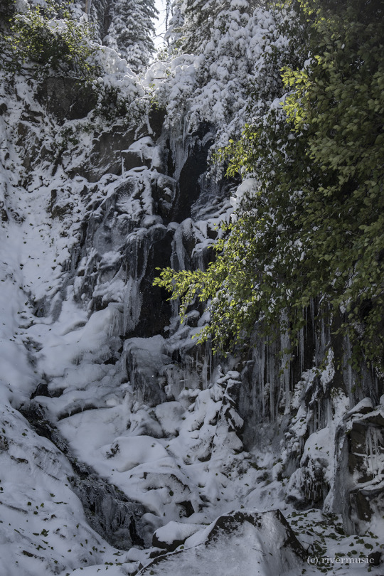 Waterfalls, Icicles and Alder Light: (c) riverwindphotography, September, 2020