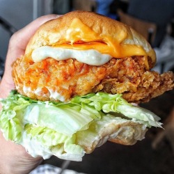 yummyfoooooood:Fried Chicken Sandwich