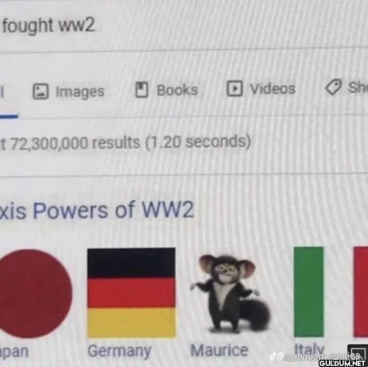 fought ww2 Images Books...