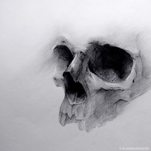 klaudiapavlicko:Skull drawing from 2016Instagram | Shop