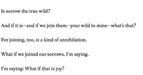 kafk-a:  Ross Gay, from “Joy Is Such a Human Madness” 