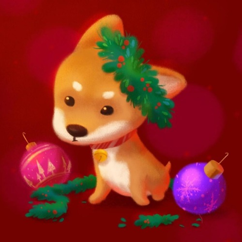 Shiba puppy wants you all to have a merry Christmas!