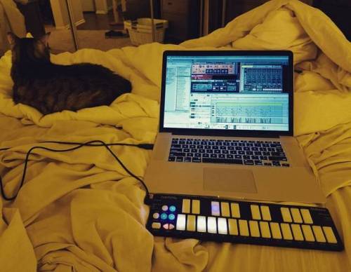 Sometimes you just need to kick back with the basics. In bed. #musicmakers #soundcats #reason #kmi #