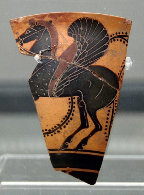 Pegasus.  Attic black-figure fragment, unknown artist; ca. 500 BCE.  Now in the Staatliche Antikensa