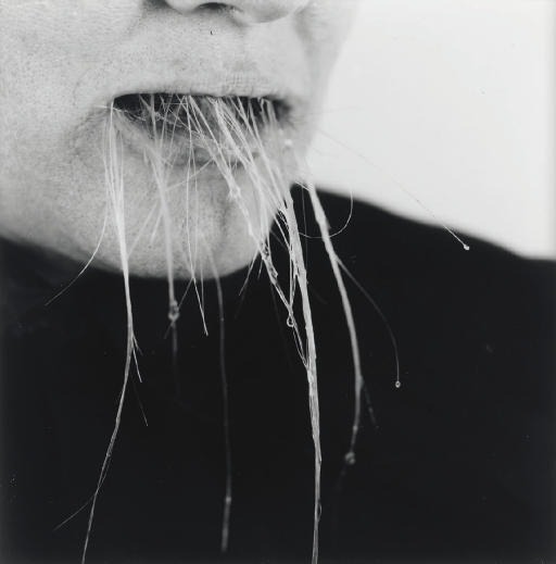 hushaby:Ann Hamilton - Untitled (Self-Portrait), 2000,…