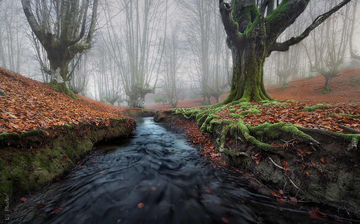 k641739021:  (via 500px / Misty Morning IV by Javier de la Torre) 