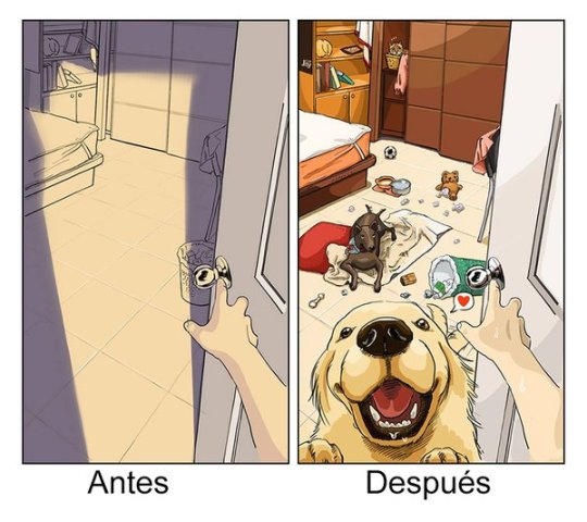 La vida antes y después de tener un perro.