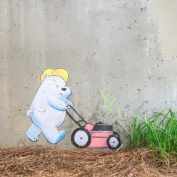 Ice Bear’s lawn mowing service is off