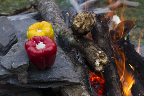 How to cook peppers stuffed with dungeness crab, onions, and cheese while camping. 