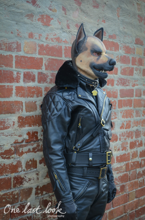 When BLUF Meets Pup, I present the human leather pupJacket and pants by Langtliz Leather: http://langlitz.comCHP Motorcycle Gloves: http://glink.me/leatherglovesRubber Dog Hood: http://rubberdawg.comCocoran Boots: http://glink.me/CocoranBootsPhotocredit: