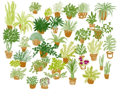 Porn photo leahreenagoren:Houseplants pattern in progress 