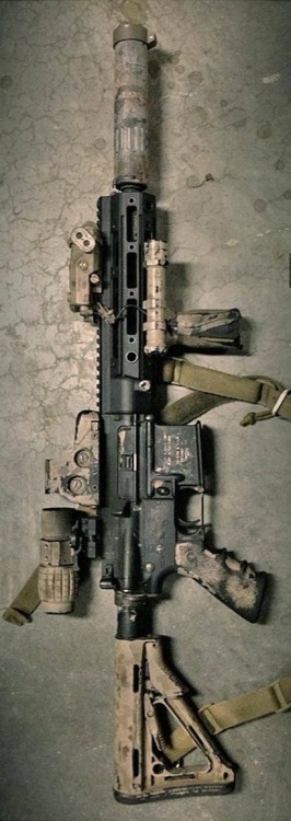 igunsandgear:  HK416 10.4” with Remington rail system. 