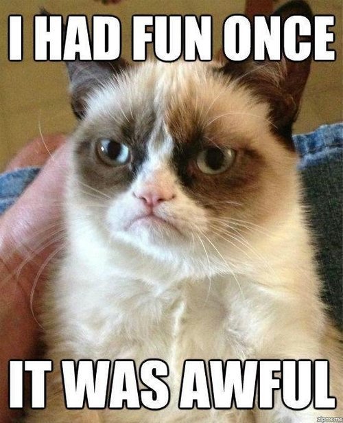 The meaning of words change. - Lolcats - lol, cat memes, funny cats, funny cat pictures with words on them, funny pictures, lol cat memes