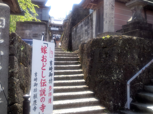 20150426　日曜日北潟湖畔公園のあと吉崎御坊まで。4月23日から5月2日までが「蓮如忌」ということで、多くの観光客で賑わっていた。Gobou市という市（いち）で福井や石川のお店が出店していて、ま