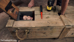 trainingofo:  Big Tit MILF Faces Her Fears to Get Dick: Click pic for more!       Shay Fox is terrified of small spaces but wants to face down her fears on Training of O. So we put her in tight bondage, bolt her head into a box, then put her into another