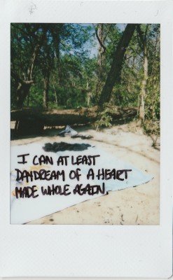 haleyincarnate:  I can at least daydream of a heart made whole again. 4/18/2016 (41/?) 